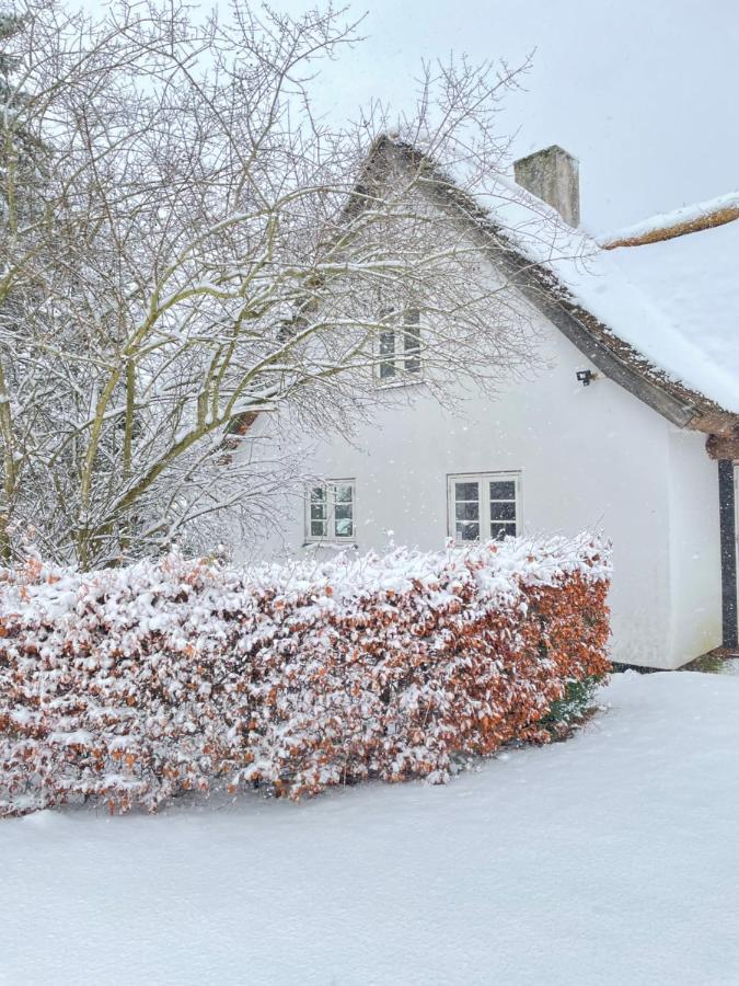 Apple Cottage Vejby Extérieur photo