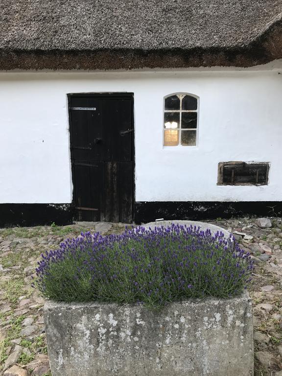 Apple Cottage Vejby Extérieur photo