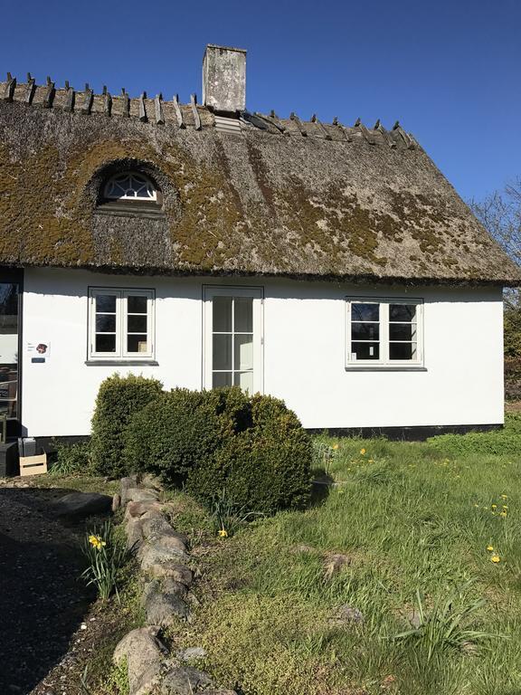 Apple Cottage Vejby Extérieur photo